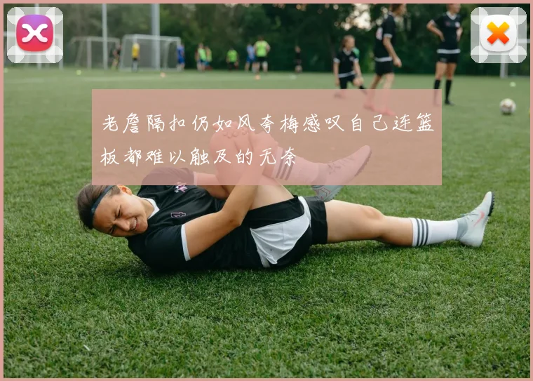 老詹隔扣仍如风夸梅感叹自己连篮板都难以触及的无奈