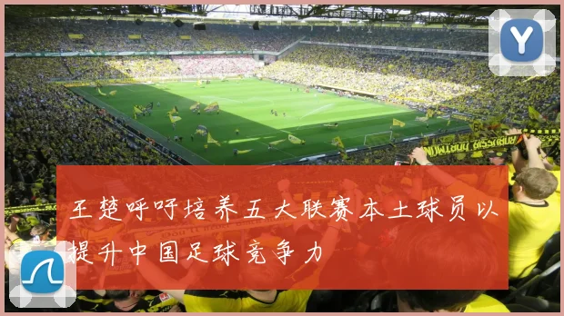 王楚呼吁培养五大联赛本土球员以提升中国足球竞争力
