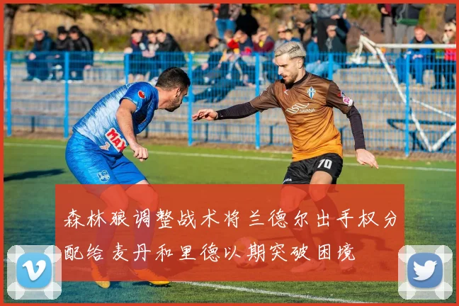 森林狼调整战术将兰德尔出手权分配给麦丹和里德以期突破困境